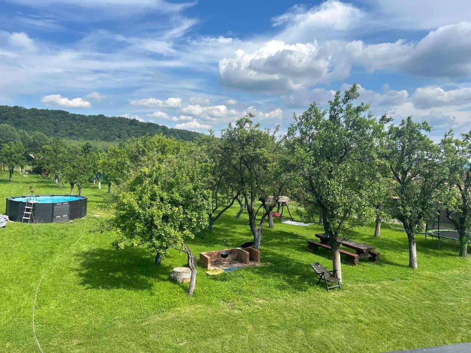 Agropensiunea Darden Baia de Fier Kültér fotó